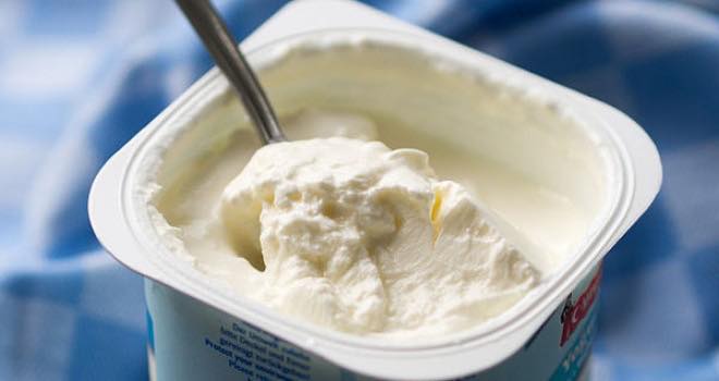 EFSA rejects fat-free yogurt weight loss claims