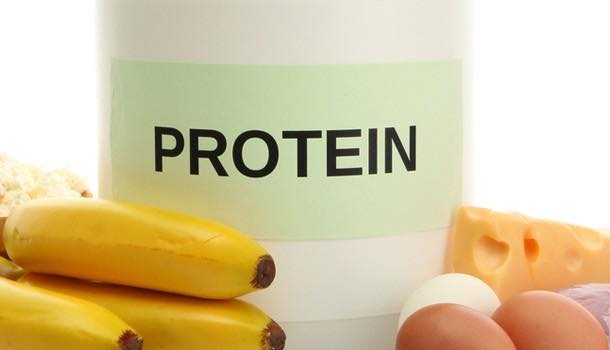 Protein 'fad' becoming long-term trend, say market researchers