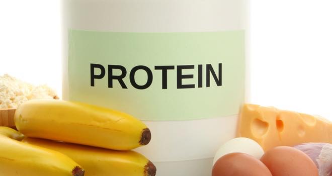 Protein 'fad' becoming long-term trend, say market researchers