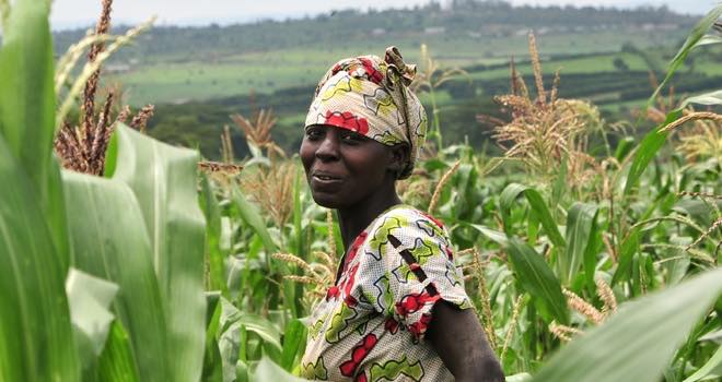 Challenge barriers facing women farmers, Fairtrade Foundation urges