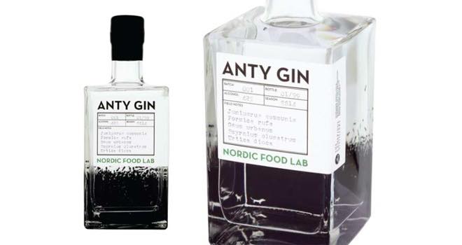 Alcohol pioneers develop gin made from ants