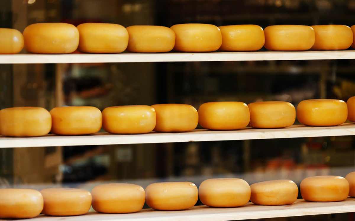 Tetra Pak acquires Dutch cheese mould manufacturer Laude