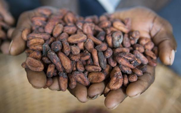 Cargill and Mondelēz team up on Indonesia cocoa sustainability