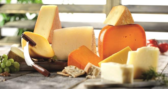 DSM develops new range of solutions for continental cheese producers