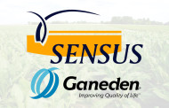 Sensus and Ganeden reveal details of 'strategic alliance'