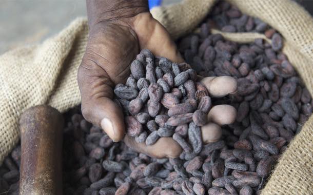 KitKat commits to sourcing sustainably produced cocoa