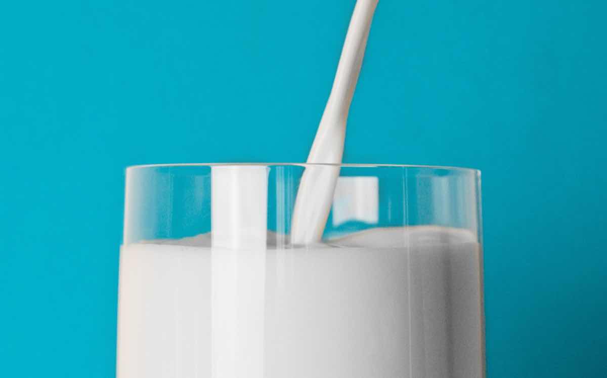'Growth in milk alternatives to outpace white milk,' study says
