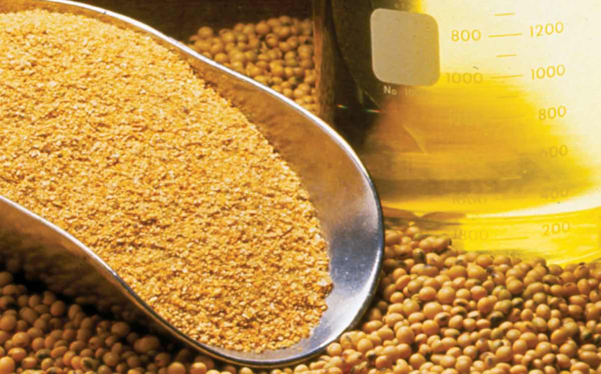 Cargill invests $100m in soybean oil crush expansion