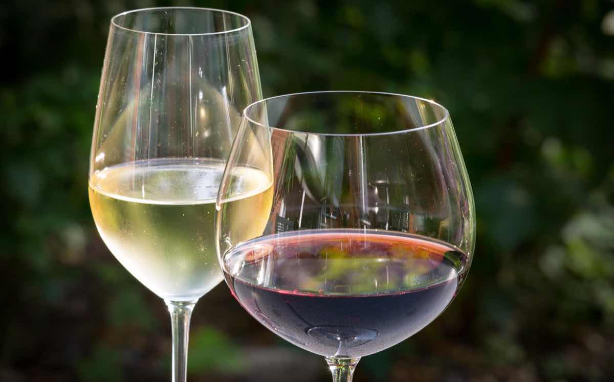 'Brexit forces up average price of wine to all-time high', study says
