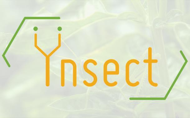 Interview: Ynsect and their edible insects