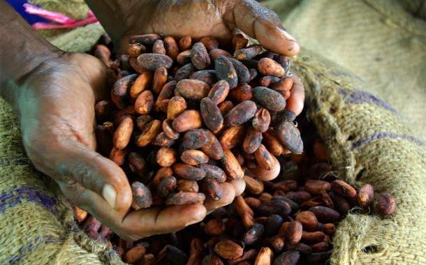 Chocolate industry progressing on child labour but must pay more