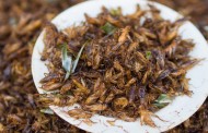Top 5 trending topics of 2015 – edible insects
