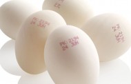 Domino launches food contact inks for egg processing lines