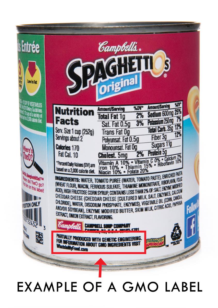 F160471_SpaghettiOs_New_Labels-0091