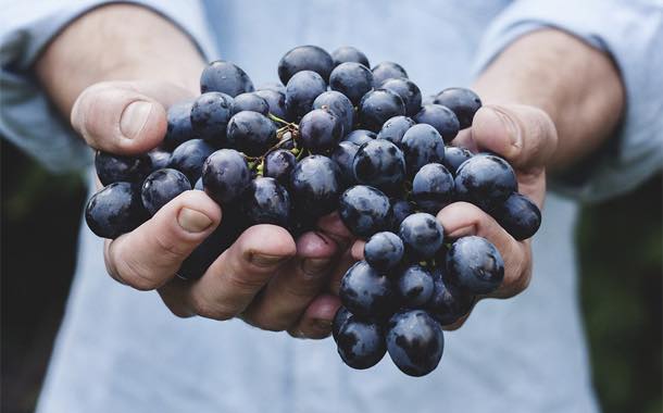 OLIO-hands-grapes