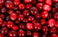 Diana Food enhances cranberry offering with Nutra Canada move