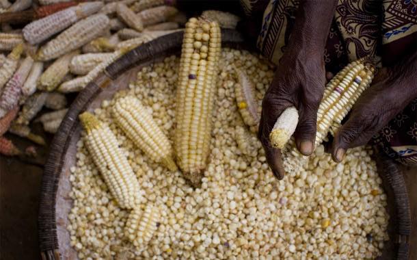 'Over 85% of countries' made progress on food security – index