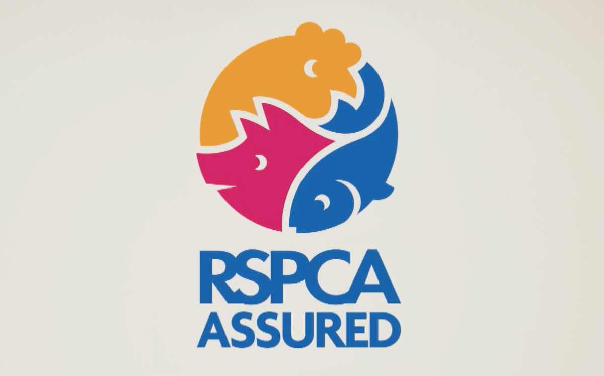British retailers support RSPCA Assured's latest ad campaign