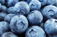 China's Huiyuan Juice invests in blueberry supplier Richland