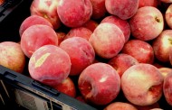 Corrugated trays 'keep fruit fresher' than crates, study warns