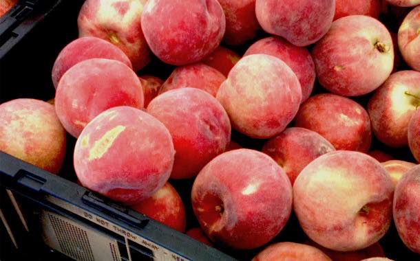 Corrugated trays 'keep fruit fresher' than crates, study warns