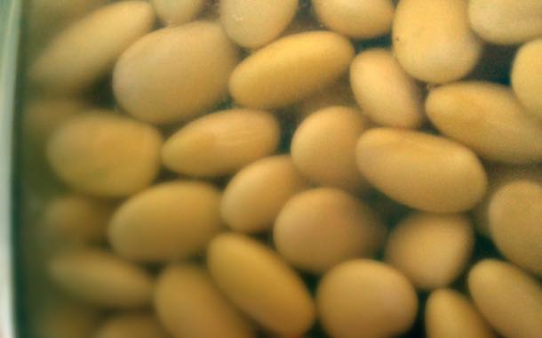 Swedish and Dutch companies 'leading' on sustainable soy use