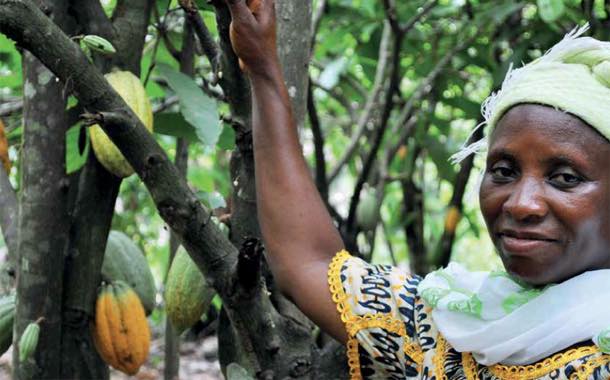 Cocoa Life initiative has 'empowered women farmers' – report