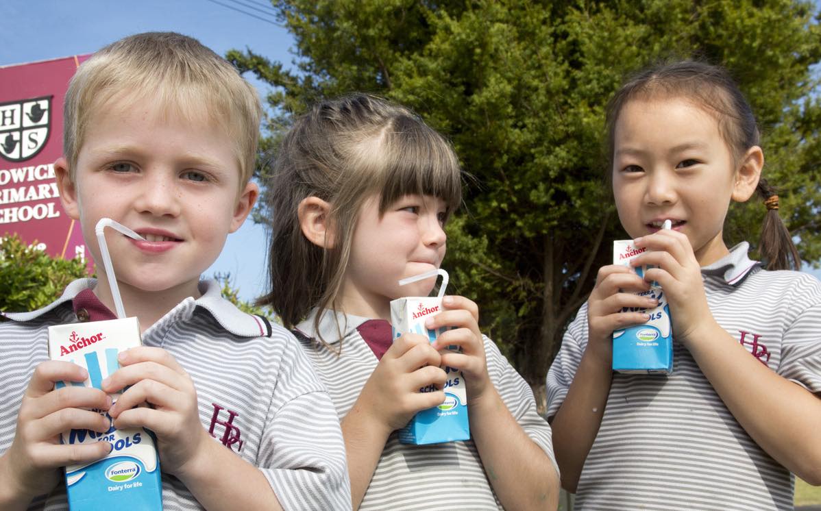 Fonterra Milk for Schools 'boosts dairy consumption', report says
