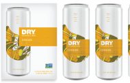 Dry Soda unveils 'bold and spicy' ginger flavour of Dry Sparkling