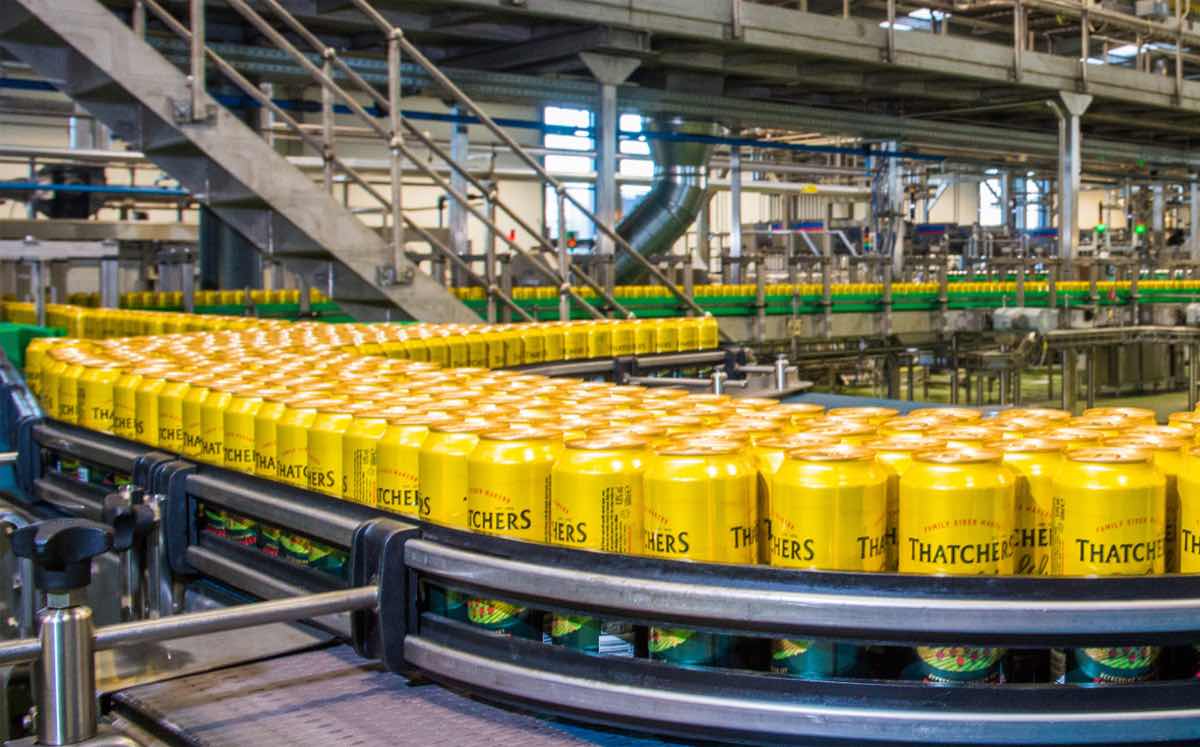 Thatchers installs first canning line with output of 30,000 an hour