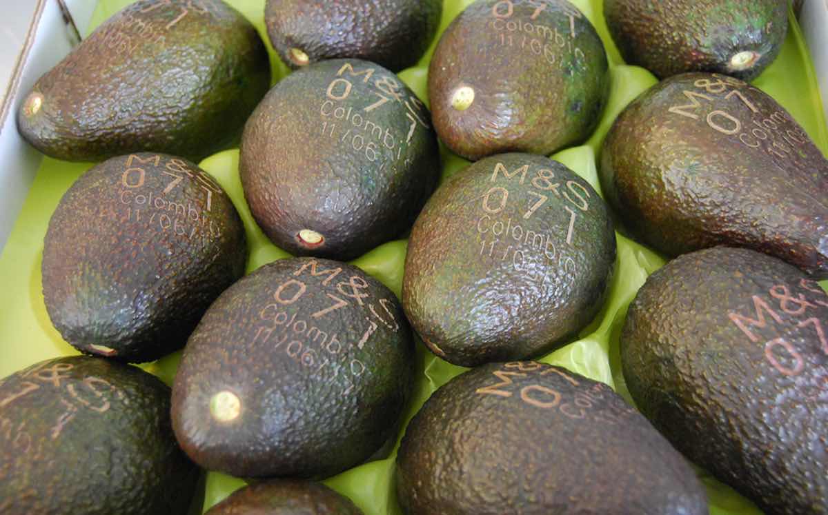 M&S seeks to save paper with new laser-printed avocados