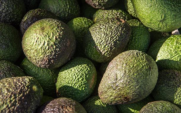 Costa Group expands in avocados with acquisition of Lankester