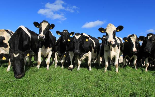 Müller unveils dairy business development scheme