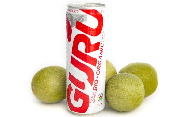 Guru Energy uses monk fruit to sweeten new Organic Lite drink