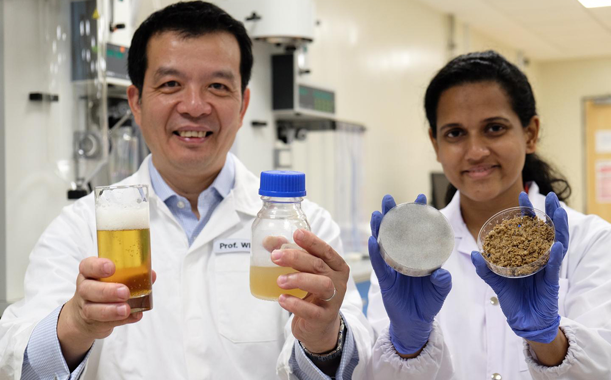 Scientists grow yeast for beer making using spent grains