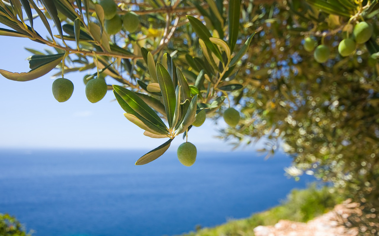 Unilever to sell its olive oil assets in Greece in bid to boost growth