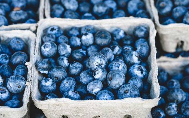 Chilean fruit company Hortifrut buys $160m blueberry business