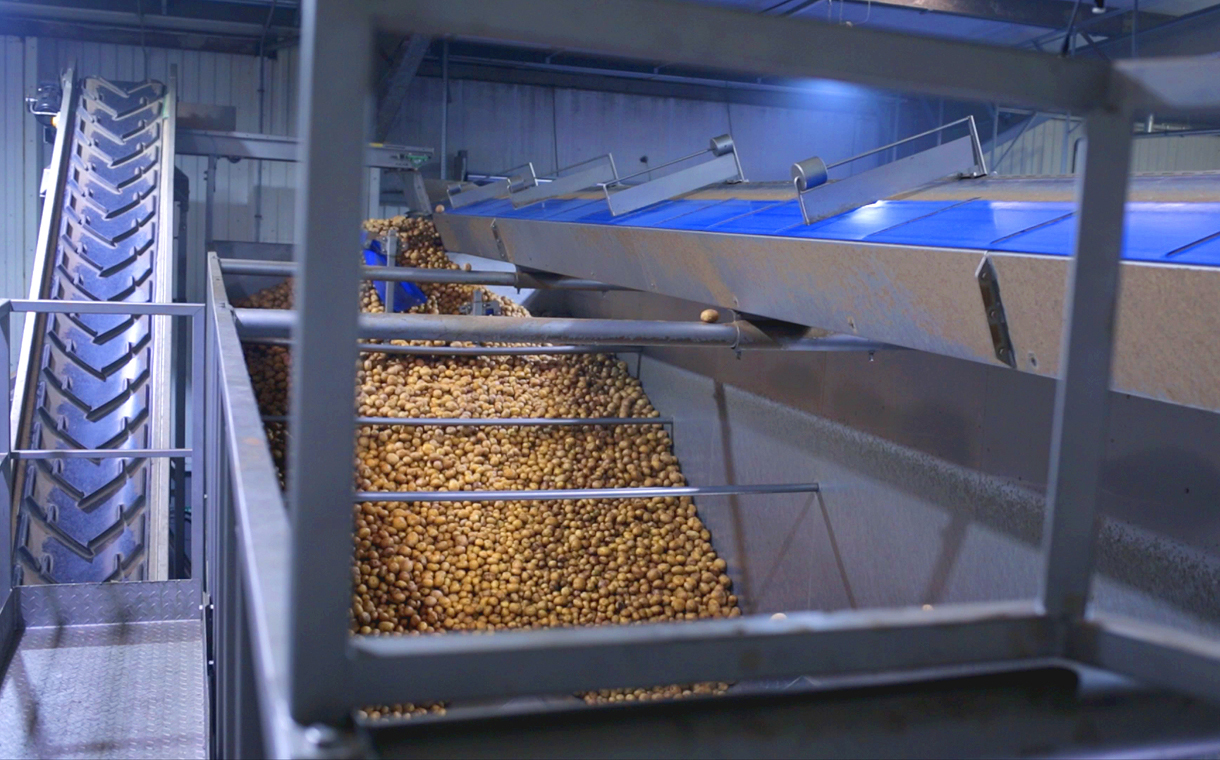 The high-speed potato frying line will help realise a 20% increase in capacity.