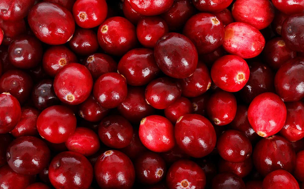 Ocean Spray pays $10m to study health benefits of cranberries