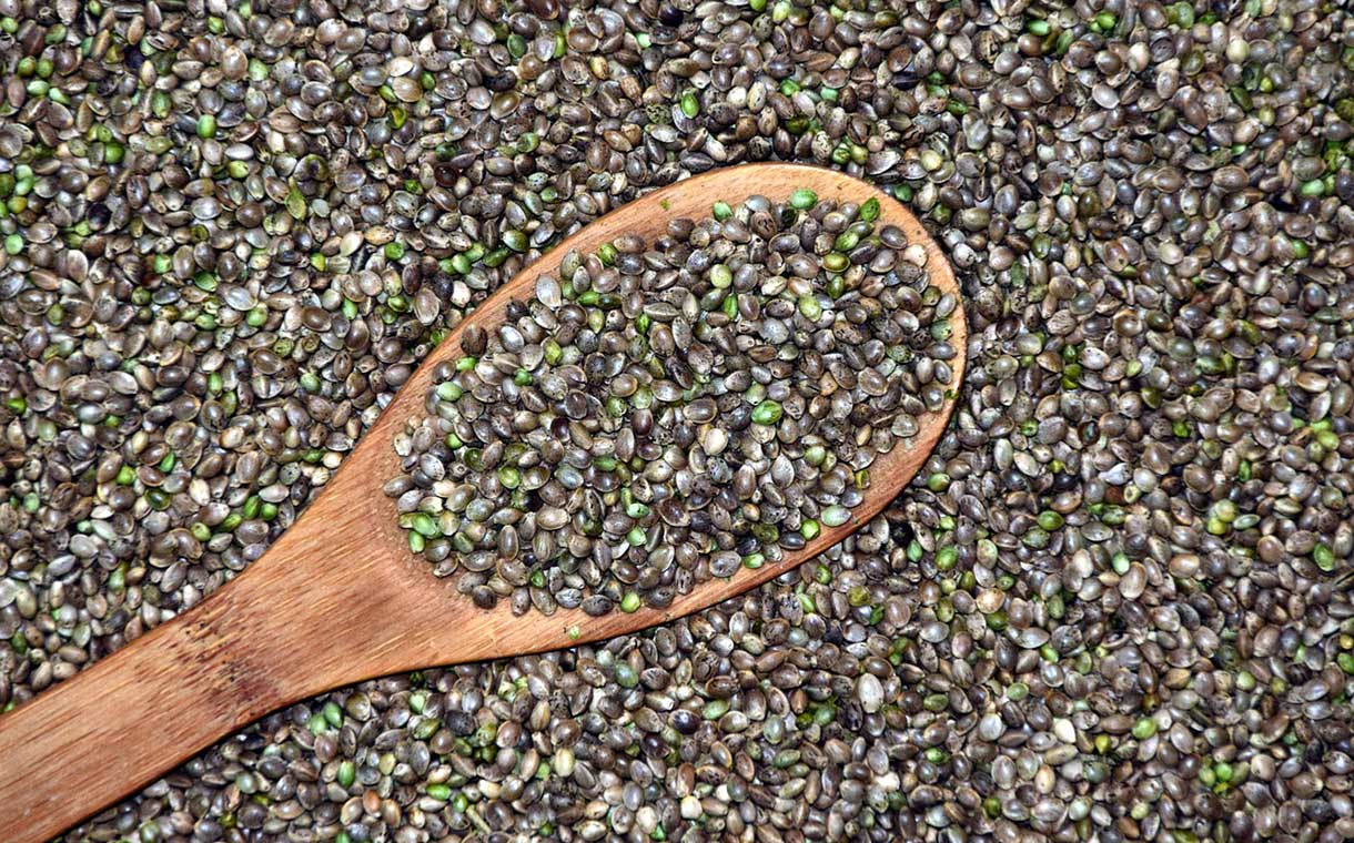 Hemp seeds contain micronutrients such as vitamin E and omega acids
