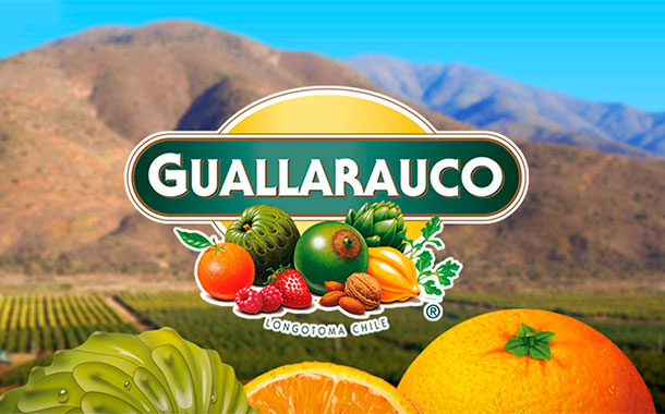 Coca-Cola expands in Chile with $78.9m deal for Guallarauco owner