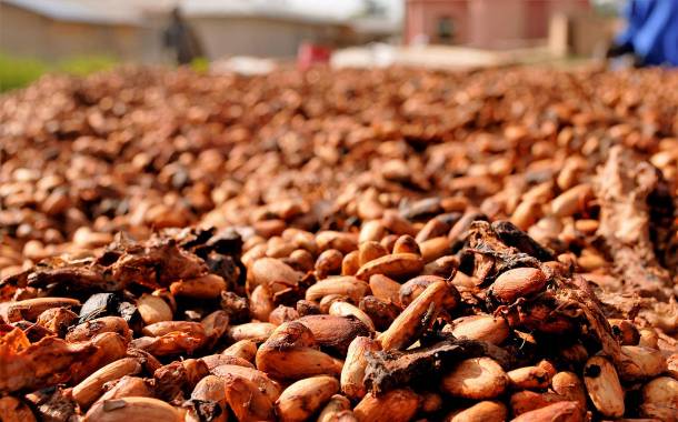 Hershey to stop sourcing cocoa from areas with deforestation