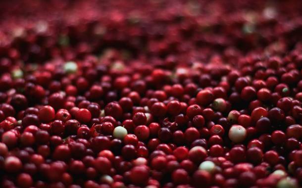 Ocean Spray expands in Quebec with Atoka Cranberries purchase