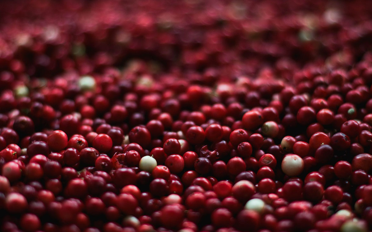 Ocean Spray Cranberries names Tom Hayes as president and CEO