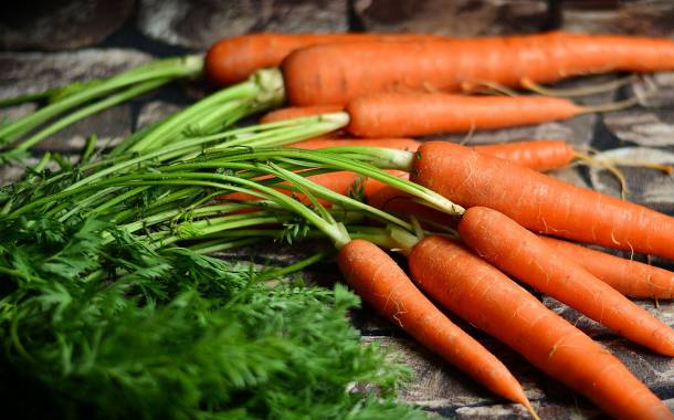 As much as 16% of produce from UK farms is wasted – research