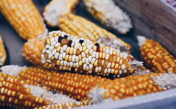 Randox Food Diagnostics ‘offers the technology for mycotoxin screening in varied crops’