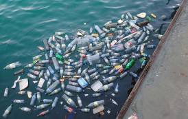 Research: 2024 sees continued increase in plastic waste
