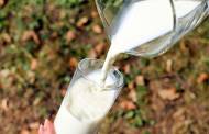 Holland Dairy Ethiopia secures FrieslandCampina investment
