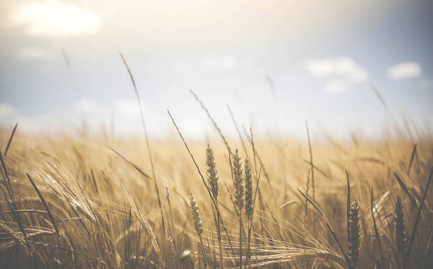 General Mills launches multi-year regenerative agriculture initiative