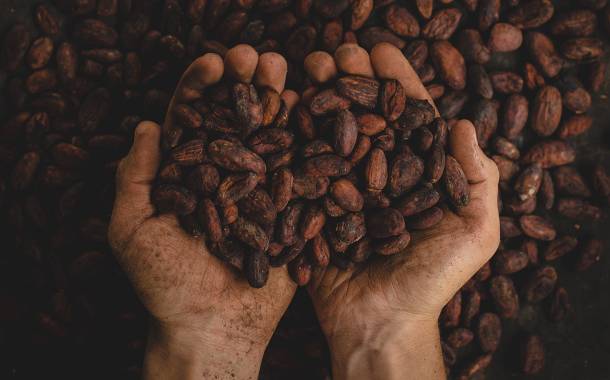 Cargill teams up with vertical farming company AeroFarms for cocoa production-focused research